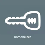 Immobilizer