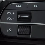 Steering Wheel Mounted Control